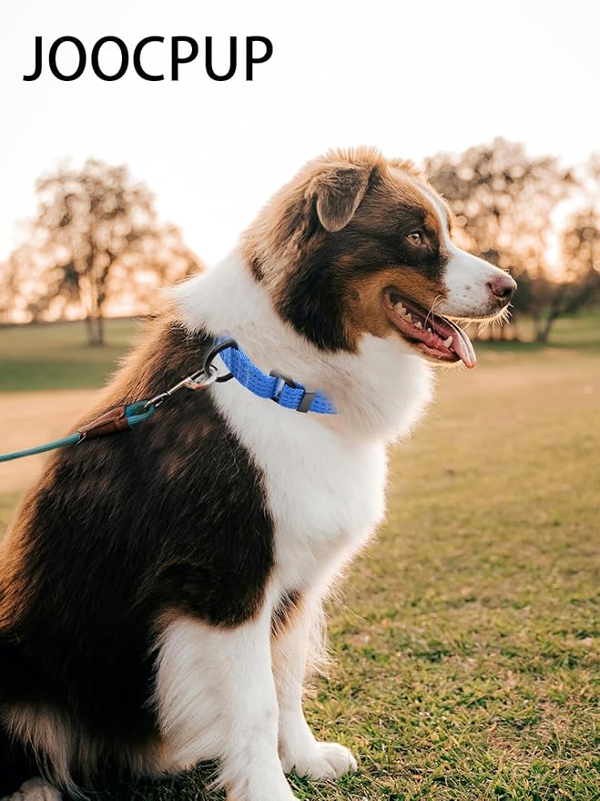 Martingale Collar for Dogs, Adjustable Soft Nylon Dog Collars with Special Design Cute Patterns (Blue, L (1" x 19"-26"))