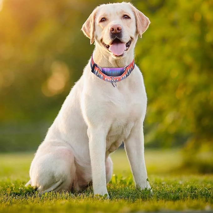 Choke Collar for Dogs, No-Slip Escape Proof Choke No Pull Cinch Soft Nylon Dog Training Martingale Collars Adjustable for Small Medium Large Breed Pet Dogs, Orange Forest S