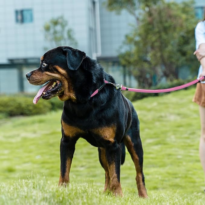 Dog Leash, Braided Rope Traction – Walking Training Lead for Medium/Large Dogs ((1/2") x 2FT, Pink)