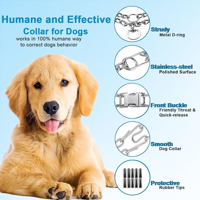 Dog Collar with Buckle Adjustable Dogs Collars for Small Medium Large Dogs (XL:4.0mm(Neck 22-26"))