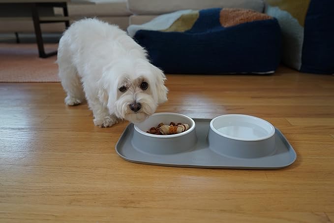 Croc Liner Pet Feeding System, Dog and Cat Bowls, Removable Dishwasher Safe Food and Water Dishes, Non-Slip, Non-Spill Silicone Pad, Raised Edges to Avoid Mess & Spills (Light Gray)