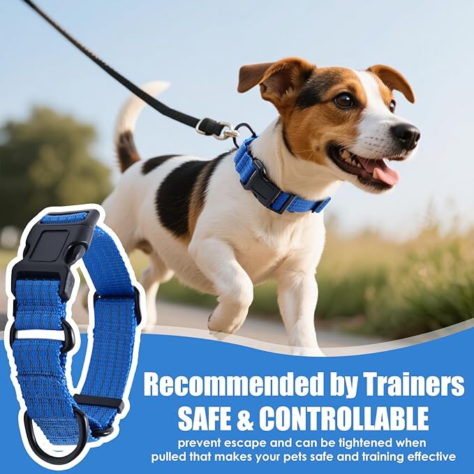 Martingale Collar for Dogs, Adjustable Soft Nylon Dog Collars with Special Design Cute Patterns (Blue, L (1" x 19"-26"))