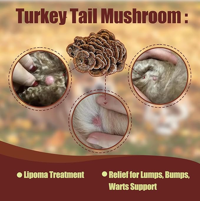 Turkey Tail Mushroom Drops for Dogs & Cats, Relieves Lipoma/Lumps/Bumps & Warts Support, Boost Immunity, Ganoderma Lucidum & Chaga Mushroom: Young Weak & Senior Pets & Low-Vitality & Post-Surgery Pets