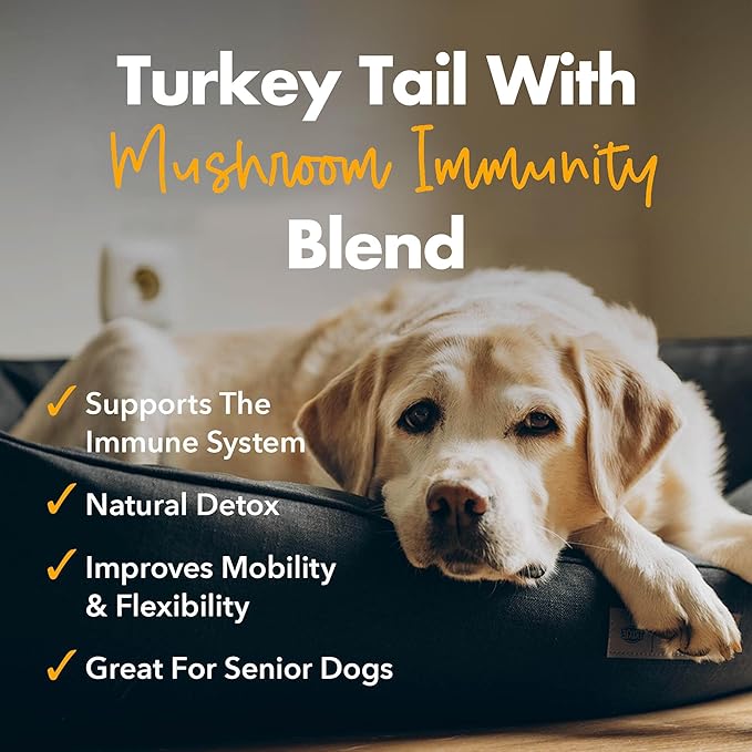 iHeartDogs Turkey Tail Mushroom for Dogs for Lumps, Bumps & Lipomas with Bone Broth and 6 Mushroom Blend Powder