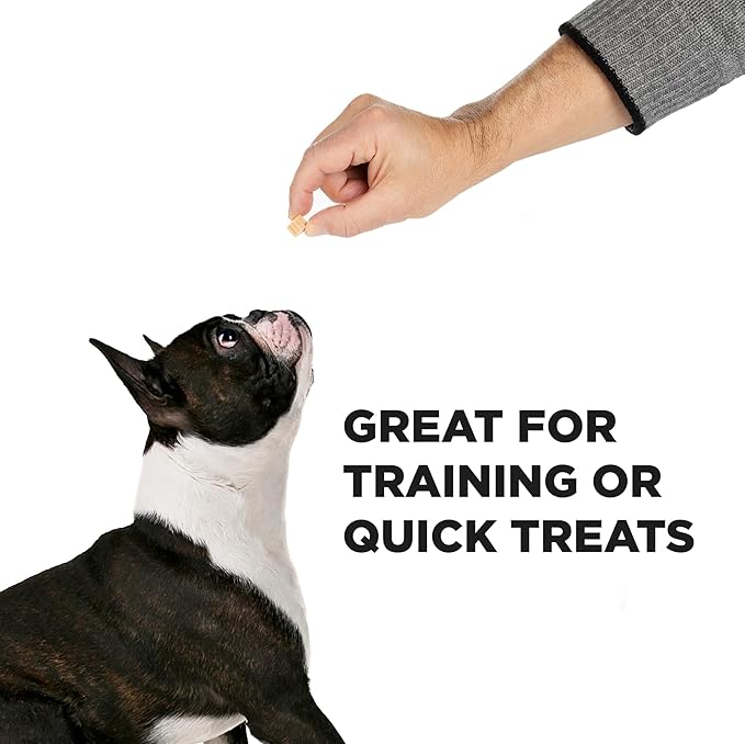 Hive Bites Training Treats for Dogs – Peanut Flavor – Small Reward Treats Dogs, Vegetarian, No Grain or Soy - 2 Pack, 6 oz Each