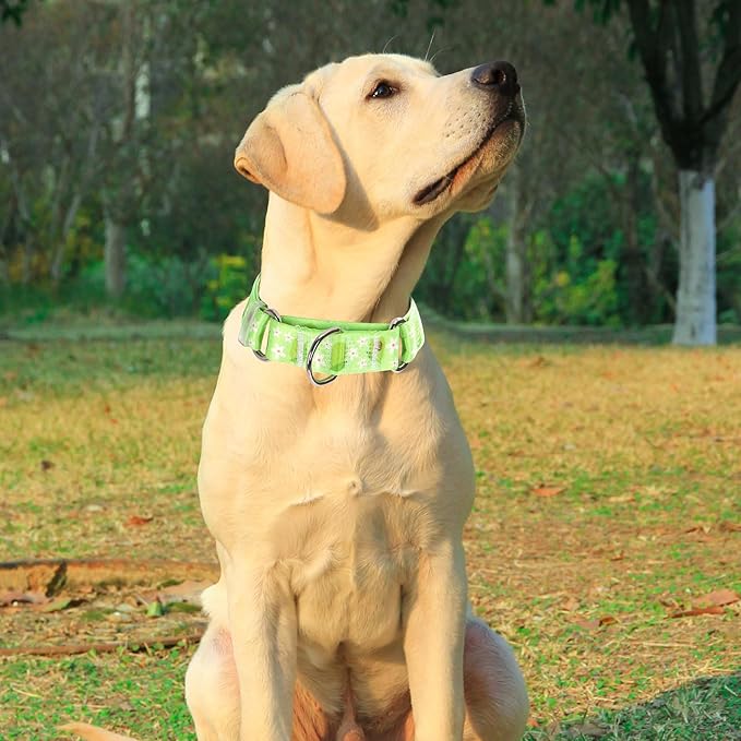 Martingale Dog Collar for Large Dogs，No-Slip Escape Proof Choke No Pull Avocado Dog Collar for Male and Female Dogs, Fruit Dog Collar for Walking Running Training
