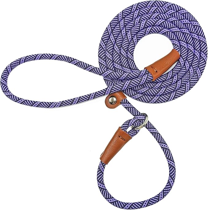 Slip Lead Dog Leash, 1/4" x 5ft No Pull Slip on Training Leash for Small and Medium Dogs (Purple)