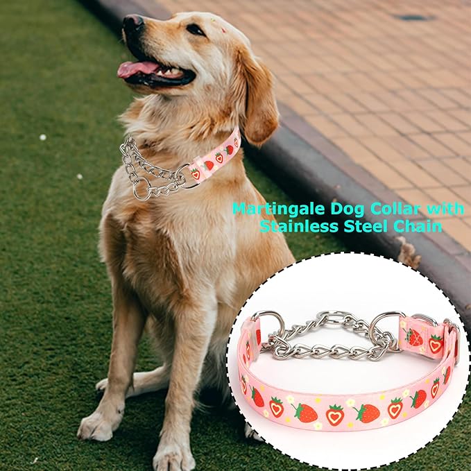 Pink Strawberry Martingale Dog Collar with Chain - No-Pull Training Collar Soft & Durable Design for Medium, Large & XL Dogs (Medium, Strawberry)