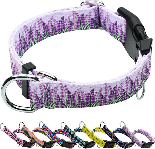 Martingale Collar for Dogs with Buckle Floral No Pull Adjustable Nylon Limited Slip Training Dog Collars (Purple Lavender, Medium)