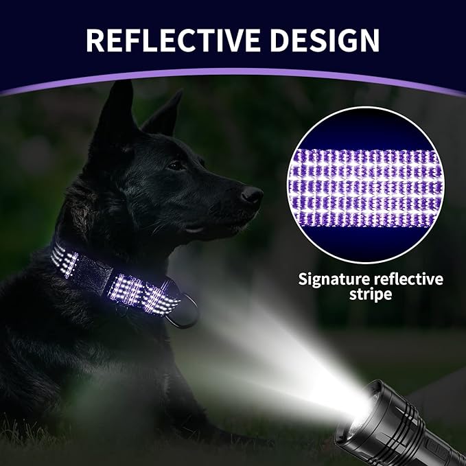 Martingale Collar for Training Dogs. Adjustable Reflective Dog Collars with Buckle- NO Pull-Prevents Slipping Out, for Medium Large XL Dogs. Helps with Strong pullers(M, Purple)