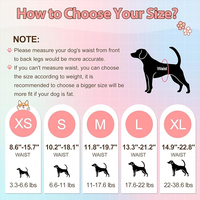Ambreview Disposable Dog Diapers Female, Just Pull It Up, Doggie Diapers for Female Dogs, Strong Absorbency | Leak Proof, for Dogs in Heat | Elderly | Disabled, M 10 PCS