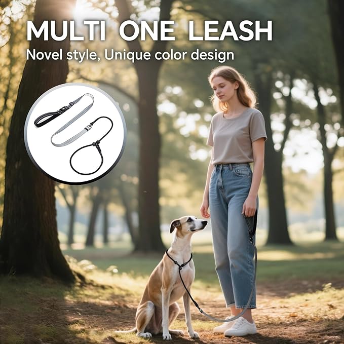 QQPETS Adjustable Slip Lead Dog Leash, Hands Free Waist Leash for Dog Walking, Reflective Training Lead with 360° Swivel Anti-Tangle, 4-7 ft Length for All Breeds