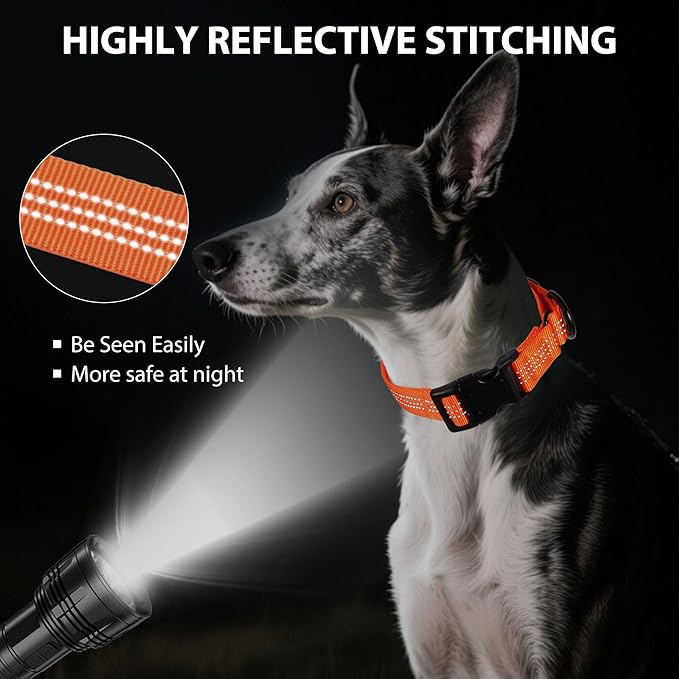 Martingale Dog Collar Quick Release Buckle No Pull Reflective Non-Slip for Medium Large Dogs Training (Orange, Large)