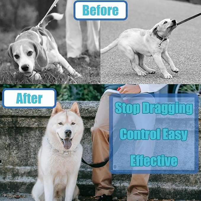 Dog Training Collar, Adjustable Dog Pinch Collar with Quick Release Buckle, No Pull Collar for Small Medium Large Dogs, Extra Link and Caps (S (Neck: 13"-17'' 2.25mm))