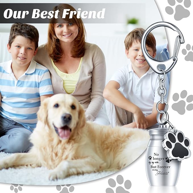Batiyeer 4 Pack Pet Ashes Keychain, Memorial Keepsake Urn Keychain for Dog & Cat Ashes, Secure Screw Lid Stainless Steel Cremation Capsule, Mini Urn for Pets