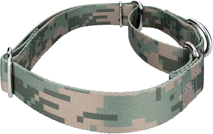 Country Brook Petz - Digital Camo Martingale Dog Collar Limited Edition - Camouflage Collection Featuring Rugged Designs (1 Inch, Large)