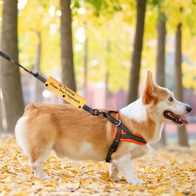 PWHAOO in Training Ignore Dog Leash Sleeve Dot Not Pet Working Merch Sleeve Service Dog Leash Wrap(Please Don't Approach Sleeve)
