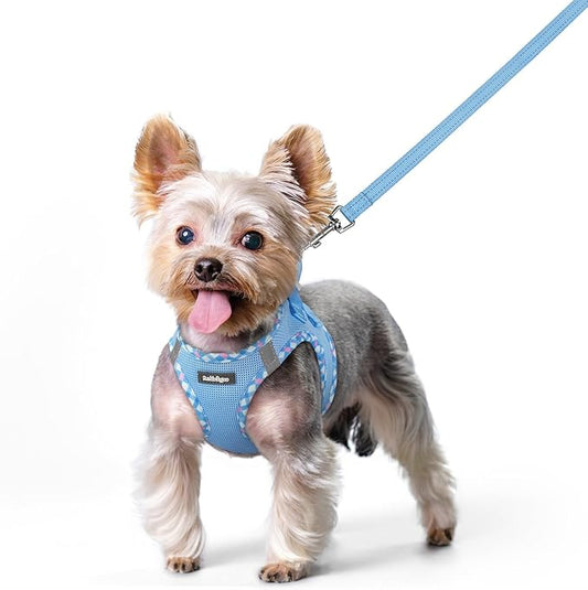 rabbitgoo Dog Harness Small Sized and Leash Set, Step in Soft Light Puppy Vest, Breathable Mesh Pet Harness, Reflective for Safe Easy Walking, Blue & Plaid Trim XS