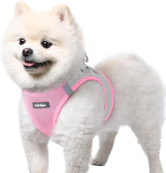 rabbitgoo Small Dog Harness, Step-in Soft Mesh Puppy Vest with Safety Buckle, Breathable Reflective Pet Harness for Small Sized Dogs, Pink & Gray S
