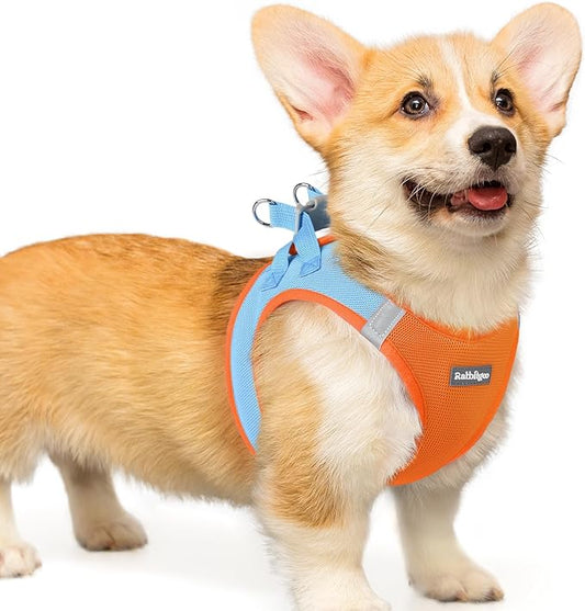 rabbitgoo Small Dog Harness, Step-in Soft Mesh Puppy Vest with Safety Buckle, Breathable Reflective Pet Harness for Small Medium Dogs, Blue & Orange L