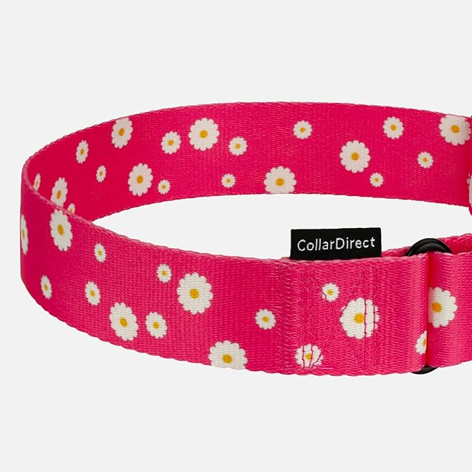 CollarDirect Martingale Collars for Dogs Heavy Duty Floral Pattern Female Safety Nylon Training Wide Collar Flower Design Large Medium (L, Neck Size 15"-20", Pink)