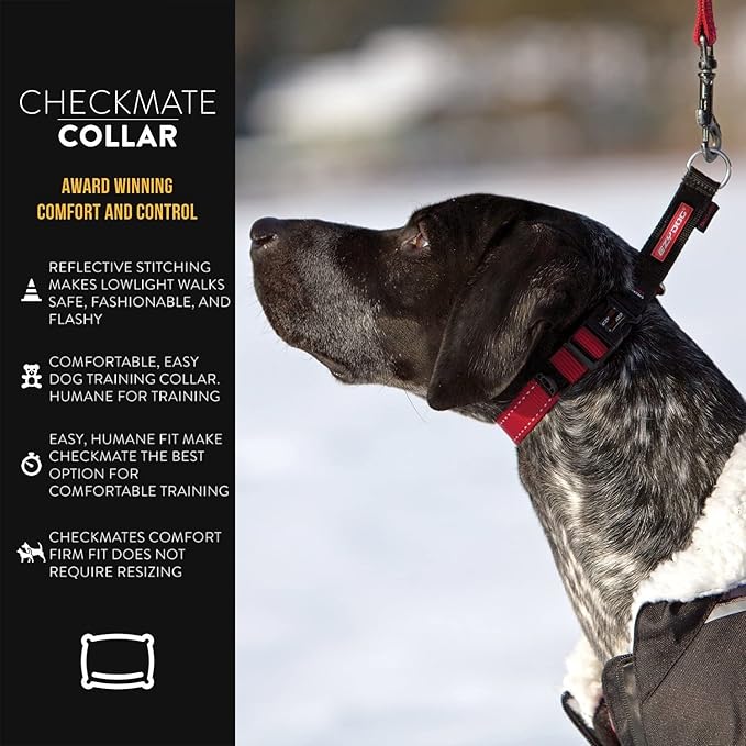 EzyDog Checkmate Martingale Collar for Dogs – Premium Nylon Training Dog Collar for Easy Control with no Choking (Medium, Orange)