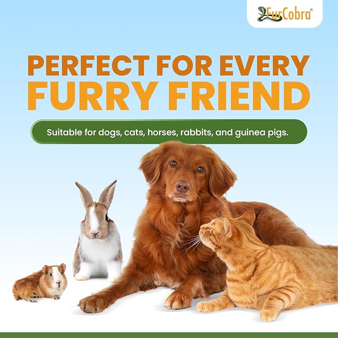 Direct 10 Pet Grooming Brush 3.54" - Gentle, No Metal Blades, Soft Dog, Cat Brush - Train Pets to be Brushed - Portable, Easy To Use Slicker Pet Grooming Tool for Dog, Cat, Puppy, Kitten Hair