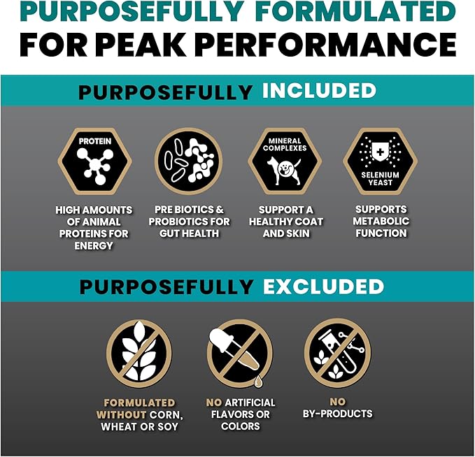VICTOR Super Premium Dog Food – Hi-Pro Plus Dry Kibble – High Protein Dog Food with 30% Protein – Beef, Chicken, Pork, Fish Meals, Gluten Free - for High Energy and Active Dogs & Puppies, 5lbs