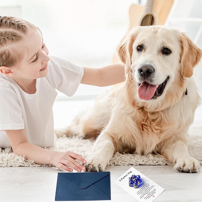 Loss of Pet Sympathy Gift - Glitter Blue Mini Paw Pocket Hug Toy with Memorial Card Envelope Remembrance Bereavement Gift for Loss of Dog Cat Sympathy Favor Pet Lovers Stress Relief Toy