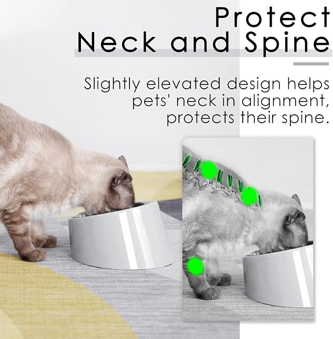 SuperDesign Mess Free 15° Slanted Bowl for Dogs and Cats, Tilted Angle Bulldog Bowl Dog Feeder, Non-Skid & Non-Spill, Easier to Reach Food S/0.5 Cup Gray