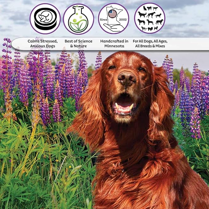 The Blissful Dog Irish Setter Relax Dog Aromatherapy, 0.45-Ounce Roll-On