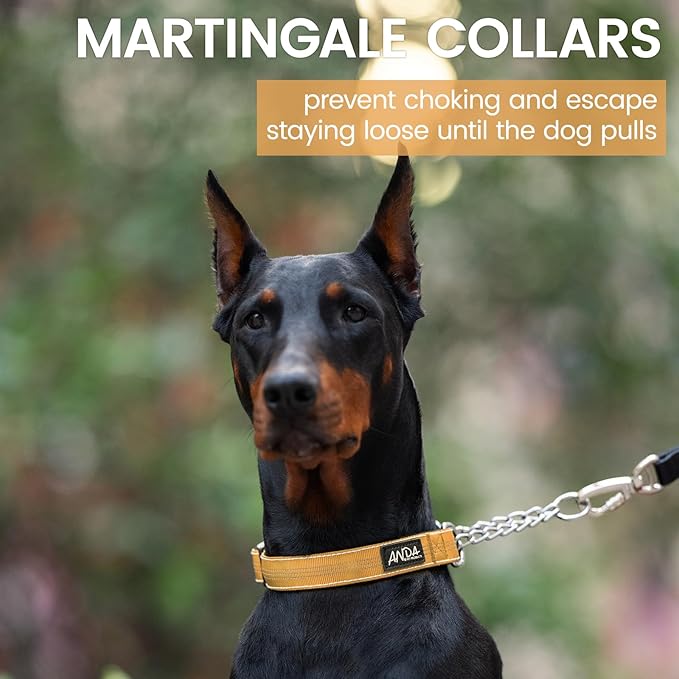 ANDA Martingale Collar for Dogs, Adjustable with Reflective Stainless Steel Chain, No-Pull Escape-Proof Training Collar for Medium and Large Breeds (Orange, Large)