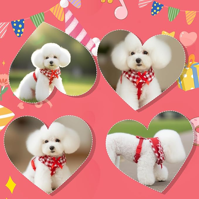 EXPAWLORER Cute Dog Harness Collar Leash Set - Red Girl Dog Harness Checkered Step-in Design, Detachable Bow Pet Collar, Adjustable No-Choke Lightweight Mesh Vest for Cats Puppy Small Dogs, S