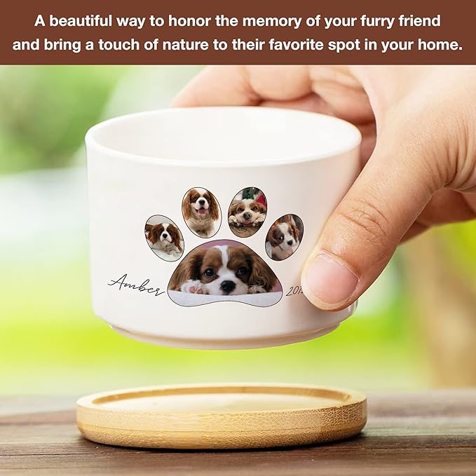 Customized Dog Memorial Picture Plant Pot Remembrance Gifts With Heartfelt Sentimental Quote Loss Plaque In Loving Memory of Dog Cat Plant Pot for Outdoor Sympathy Pawprints Pet Decor Gifts