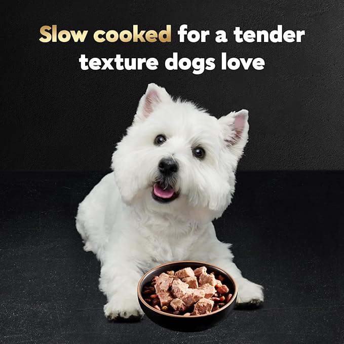 CESAR Adult Wet Dog Food Classic Loaf in Sauce Breakfast and Dinner Mealtime Variety Pack, 3.5 oz. Easy Peel Trays, Pack of 12