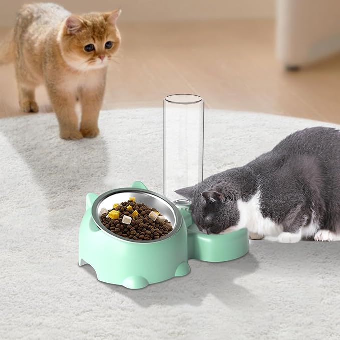 Dog Bowls, Cat Food and Water Bowl Set 16 Degree Tilted Dog Dish with Water Dispenser Automatic Dispenser Bottle Spill Proof Pet Feeder for Cats and Dogs