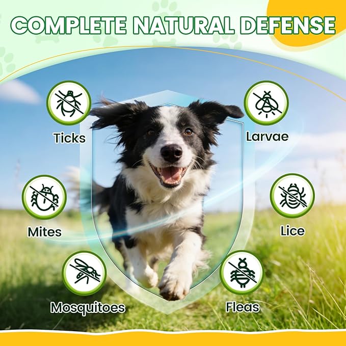 Flea and Tick Prevention for Dogs Chews – 500 Tasty Chicken Flavor Soft Chews, with Pumpkin Seed Extract, Fish Oil, and Vitamins for Dogs, Puppies, All Breeds & Ages.