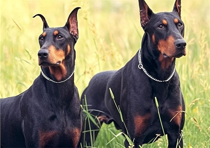 Silver Chain Collar for Dogs,Metal Slip Link Dog Chain Martingale Collar Heavy Duty Training Dog Collar Boy Girl Puppy Collars for XS Small Medium Large Big Breed Pet,S