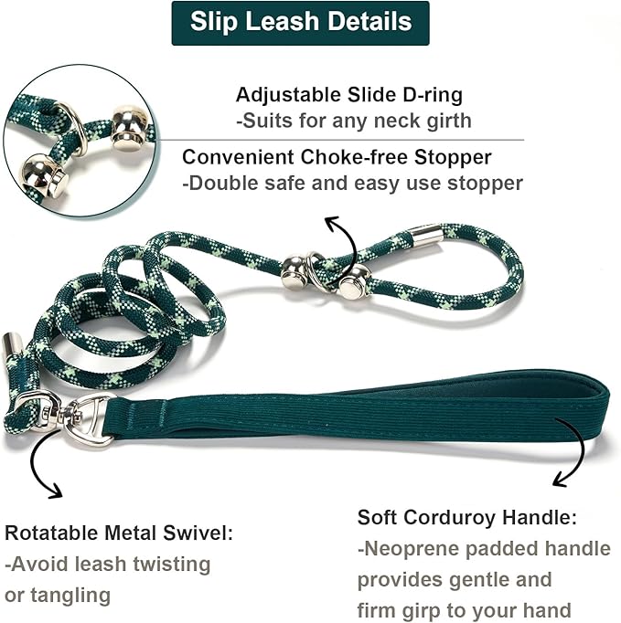 Slip Lead Dog Leash 5 Ft No Pull Reflective Nylon Dog Rope Training Leash with Padded Handle for Puppy Small Medium Dogs(Dark Green)