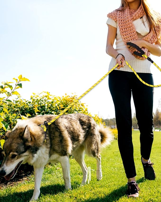 TagME Slip Leads for Dogs that Pull, 6 FT No-Pull Training Leash with Lock, Escape-Proof Design, Reflective & Padded Handle for Large Dogs, Yellow
