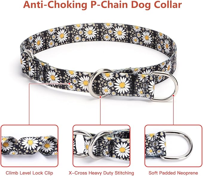 Training Dog Collar - No Pull Martingale, Slip With Slidable Stop Ring for Small, Medium, Large Dogs (L, Ocean)
