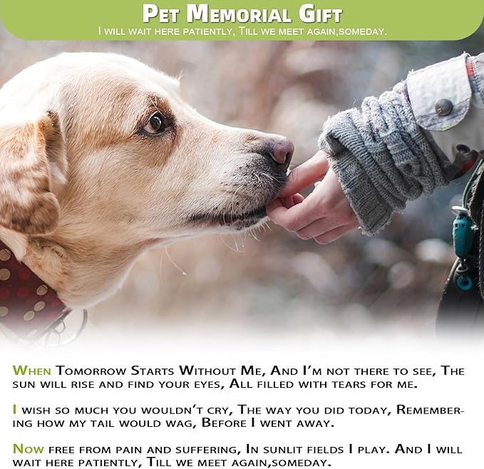 Aluminum Dog Memorial Picture Frame with Gift Box, Rainbow Bridge Dog Remembrance Gifts, Loss of Dog Sympathy Gift, Forever in My Heart Metal Keepsake (Fits 4x6 Photo) 1S