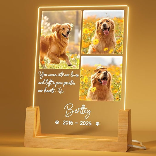 Bemaystar Dog Memorial Gifts for Loss of Dog Pet Memorial Gifts for Dogs Cat Memorial Gifts Custom Pet Memorial Night Light Pet Loss Gifts, Memorial Plaques for Dog Memorial Picture Frame - 3 Photos