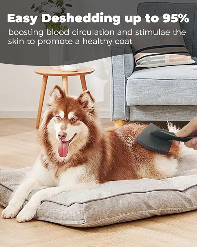 Professional Pet Slicker Brush for Long Haired Dogs&Cats Large Grooming Tool for Dematting, Detangling, Removes Loose Fur,Suitable for Doodles,Poodles,Goldendoodle, Labradoodle, Long Thick Curly Coats