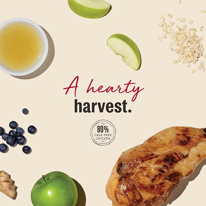 The Honest Kitchen Human Grade Dog Treats Jerky Harvest Mini Bars: Chicken Recipe With Apples & Blueberries, 4 oz Bag