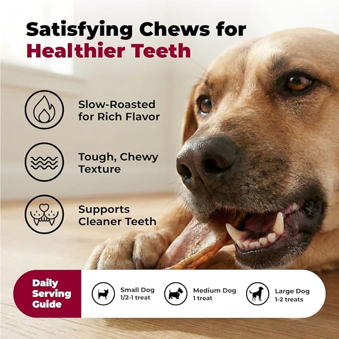 Best Pet Supplies GigaBite Whole Pig Ears for Dogs - All-Natural Slow-Roasted Chews that Clean Teeth and Satisfy Aggressive Chewers - 12 Pack for Large Dogs