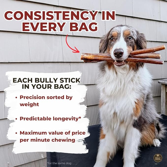 Bully Bunches All Natural 6" Standard Braided Bully Sticks - Odour Free, Rawhide Free, Chemical Free - Safe, Long Lasting Thick Beef Dog Chews - Fully Digestible Treat for Small and Medium Dogs, 5 Pk