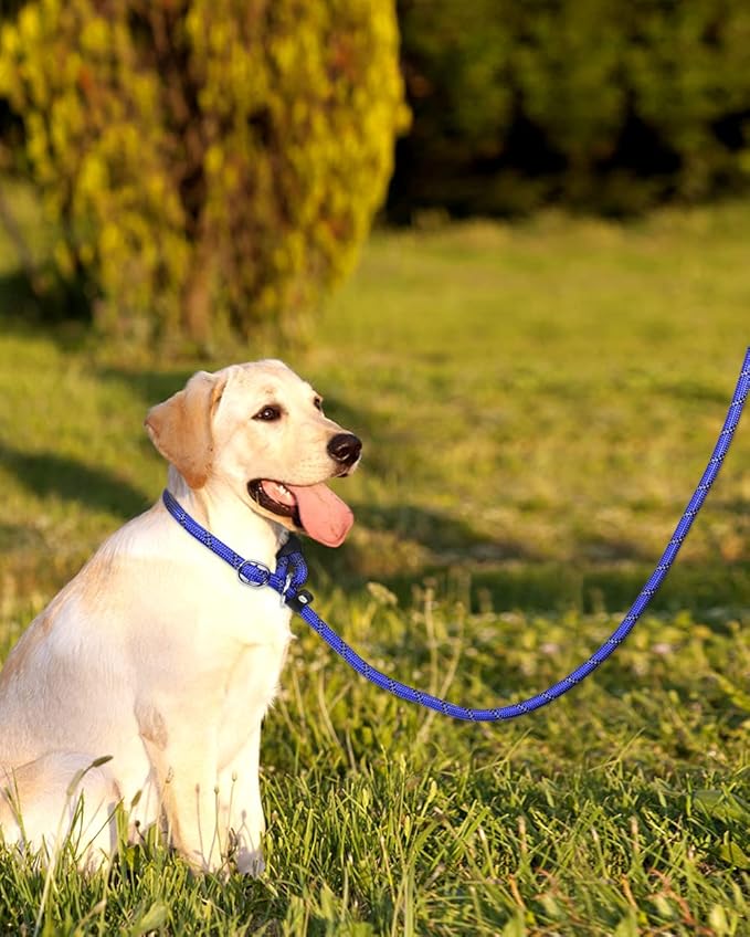 TagME Slip Leads for Dogs that Pull, 6 FT No-Pull Training Leash with Lock, Escape-Proof Design, Reflective & Padded Handle for Large Dogs, Navy Blue