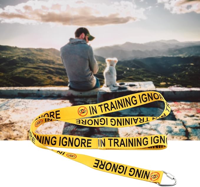 JXGZSO Please Ignore Me in Training Dog Lead Reactive Dog Give Me Space Puppy Leash Wrap Rescue Puppy Lead (in Training Ignore DL)