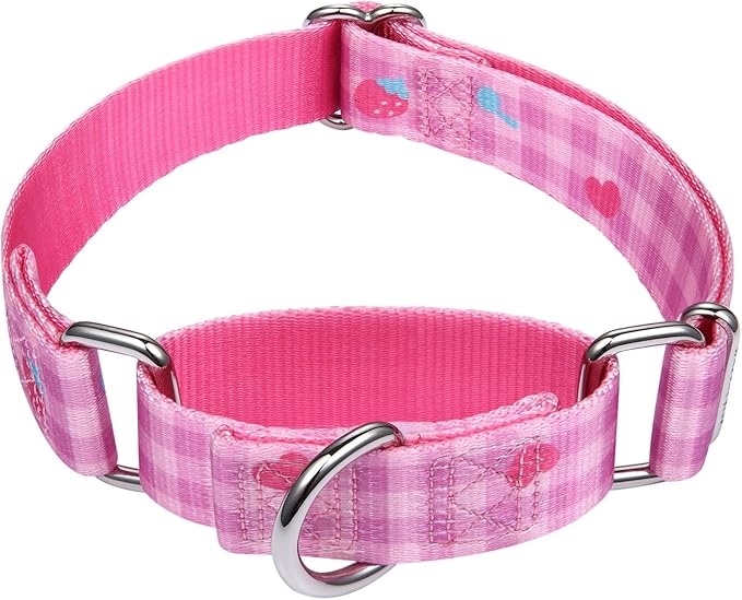 Mikivery Martingale Dogs Collar Plaid 1 inch Sturdy Slip Metal Buckle Collars Cute for Medium and Large Breed for Walking Training Outdoor Daily Use